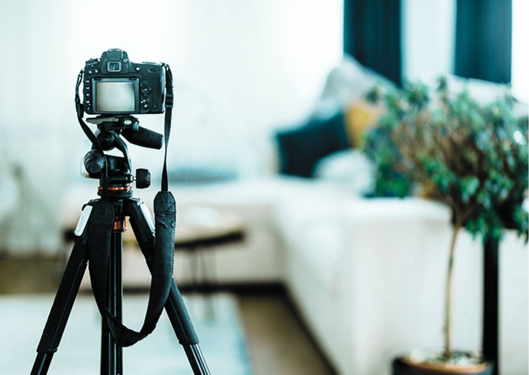 Kingsleigh Estate Agents